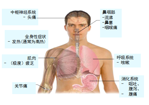 b93d910417ec40899b53b8e29019517e.Png