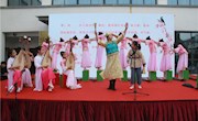 我校小评弹艺术团节目《喜鹊桥》参加辛庄镇“最美志愿者”颁奖演出